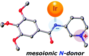 Graphical abstract: A mesoionic nitrogen-donor ligand: structure, iridium coordination, and catalytic effects
