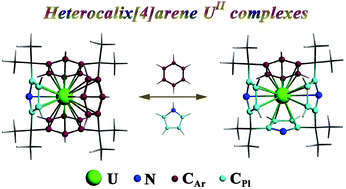 Graphical abstract: Could new U(ii) complexes be accessible via tuning hybrid heterocalix[4]arene? A theoretical study of redox and structural properties