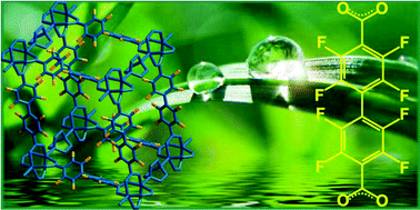 Graphical abstract: Metal–organic frameworks based on octafluorobiphenyl-4,4′-dicarboxylate: synthesis, crystal structure, and surface functionality