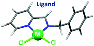 Graphical abstract: Evaluation of the metal-dependent cytotoxic behaviour of coordination compounds