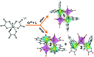 Graphical abstract: From a square core to square opening: structural diversity and magnetic properties of the oxo-bridged [CrIIINbV] complexes