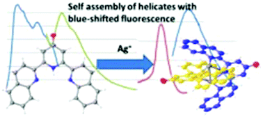 Graphical abstract: Self-assembly of singlet-emitting double-helical silver dimers: the curious coordination chemistry and fluorescence of bisquinolylpyridone