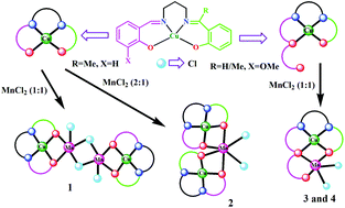 Graphical abstract: Control of nuclearity in heterometallic CuII–MnII complexes derived from asymmetric Schiff bases: structures and magnetic properties
