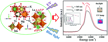 Graphical abstract: A novel deep red-emitting phosphor KMgLaTeO6:Mn4+ with high thermal stability and quantum yield for w-LEDs: structure, site occupancy and photoluminescence properties