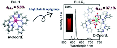 Graphical abstract: Alkyl chain elongation and acyl group effects in a series of Eu/Tb complexes with hexadentate π-electronic skeletons and their enhanced luminescence in solutions