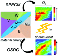 Graphical abstract: Unraveling compositional effects on the light-induced oxygen evolution in Bi(V–Mo–X)O4 material libraries