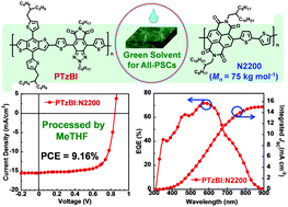 Graphical abstract: Optimisation of processing solvent and molecular weight for the production of green-solvent-processed all-polymer solar cells with a power conversion efficiency over 9%