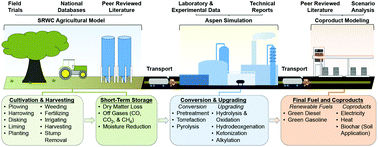 Graphical abstract: Multistage torrefaction and in situ catalytic upgrading to hydrocarbon biofuels: analysis of life cycle energy use and greenhouse gas emissions