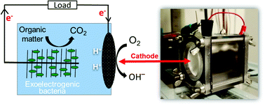 Graphical abstract: The impact of new cathode materials relative to baseline performance of microbial fuel cells all with the same architecture and solution chemistry