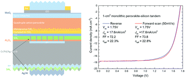 Graphical abstract: Monolithic perovskite/silicon-homojunction tandem solar cell with over 22% efficiency