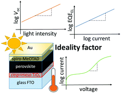 Graphical abstract: Interpretation and evolution of open-circuit voltage, recombination, ideality factor and subgap defect states during reversible light-soaking and irreversible degradation of perovskite solar cells