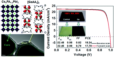 Graphical abstract: In situ induced core/shell stabilized hybrid perovskites via gallium(iii) acetylacetonate intermediate towards highly efficient and stable solar cells