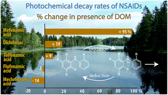 Graphical abstract: Environmental photochemistry of fenamate NSAIDs and their radical intermediates