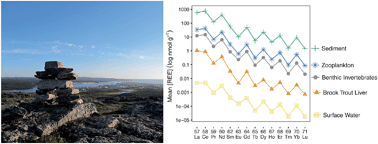 Graphical abstract: Rare earth elements in freshwater, marine, and terrestrial ecosystems in the eastern Canadian Arctic