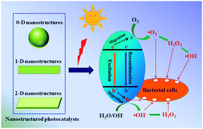 Graphical abstract: Photocatalytic nanomaterials for solar-driven bacterial inactivation: recent progress and challenges