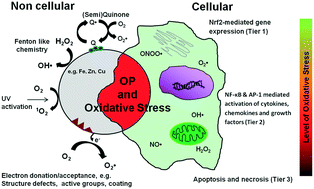 Graphical abstract: Analytical methods to assess the oxidative potential of nanoparticles: a review