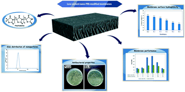 Graphical abstract: Low content nano-polyrhodanine modified polysulfone membranes with superior properties and their performance for wastewater treatment