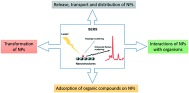 Graphical abstract: Applications of surface-enhanced Raman spectroscopy in the analysis of nanoparticles in the environment