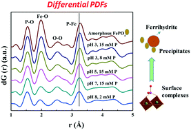 Graphical abstract: Phosphate and phytate adsorption and precipitation on ferrihydrite surfaces