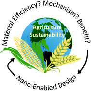 Graphical abstract: Opportunities to advance sustainable design of nano-enabled agriculture identified through a literature review