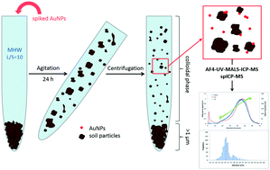 Graphical abstract: Assessing the interactions of metal nanoparticles in soil and sediment matrices – a quantitative analytical multi-technique approach