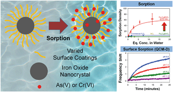 Graphical abstract: Engineered superparamagnetic nanomaterials for arsenic(v) and chromium(vi) sorption and separation: quantifying the role of organic surface coatings
