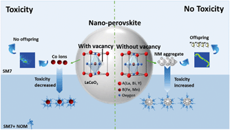 Graphical abstract: Comparative assessment of the chronic effects of five nano-perovskites on Daphnia magna: a structure-based toxicity mechanism
