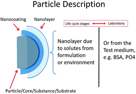 Graphical abstract: Dissolution as a paradigm in regulating nanomaterials