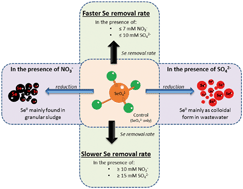 Graphical abstract: Effect of elevated nitrate and sulfate concentrations on selenate removal by mesophilic anaerobic granular sludge bed reactors