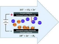 Graphical abstract: Capacitive deionization for nutrient recovery from wastewater with disinfection capability
