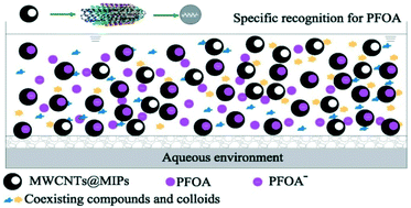 Graphical abstract: Synthesis and application of a highly selective molecularly imprinted adsorbent based on multi-walled carbon nanotubes for selective removal of perfluorooctanoic acid