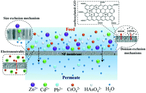 Graphical abstract: Removal of heavy metal ions using a carboxylated graphene oxide-incorporated polyphenylsulfone nanofiltration membrane