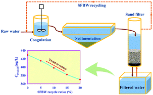Graphical abstract: Influence of spent filter backwash water recycling on pesticide removal in a conventional drinking water treatment process