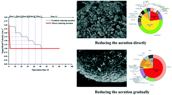 Graphical abstract: Gradient reduced aeration in an enhanced aerobic granular sludge process optimizes the dominant microbial community and its function