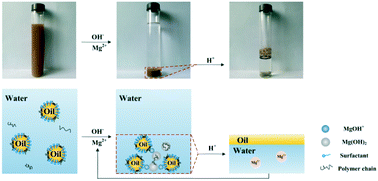 Graphical abstract: Rapid removal and recovery of emulsified oil from ASP produced water using in situ formed magnesium hydroxide