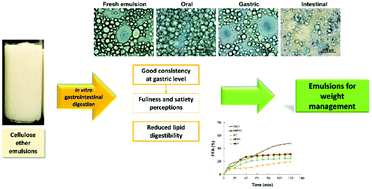 Graphical abstract: Oil-in-water emulsions stabilised by cellulose ethers: stability, structure and in vitro digestion