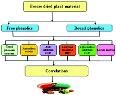 Graphical abstract: Profiles of free and bound phenolics extracted from Citrus fruits and their roles in biological systems: content, and antioxidant, anti-diabetic and anti-hypertensive properties