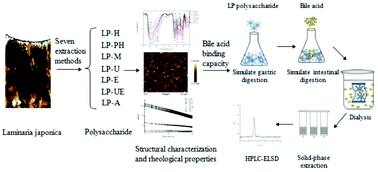 Graphical abstract: A comparison study on polysaccharides extracted from Laminaria japonica using different methods: structural characterization and bile acid-binding capacity