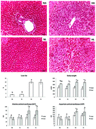 Graphical abstract: A study of the prebiotic-like effects of tomato juice consumption in rats with diet-induced non-alcoholic fatty liver disease (NAFLD)