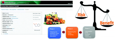 Graphical abstract: In silico genotoxicity of coumarins: application of the Phenol-Explorer food database to functional food science