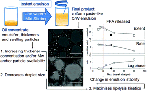 Graphical abstract: Instant polysaccharide-based emulsions: impact of microstructure on lipolysis