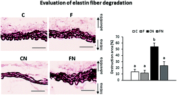 Graphical abstract: Suppressive effects of dietary EPA-rich fish oil on the degradation of elastin fibers in the aortic wall in nicotine-administered mice