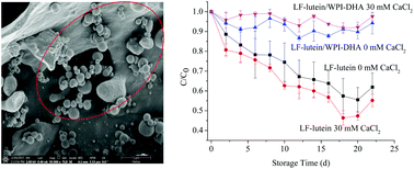 Graphical abstract: Influence of calcium-induced droplet heteroaggregation on the physicochemical properties of oppositely charged lactoferrin coated lutein droplets and whey protein isolate-coated DHA droplets