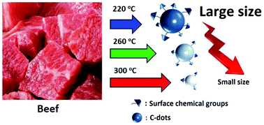 Graphical abstract: Presence and formation of fluorescence carbon dots in a grilled hamburger