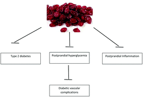 Graphical abstract: Cranberries improve postprandial glucose excursions in type 2 diabetes
