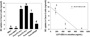 Graphical abstract: β-Carotene bioaccessibility from biofortified maize (Zea mays) is related to its density and is negatively influenced by lutein and zeaxanthin