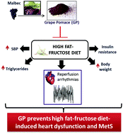 Graphical abstract: Grape pomace reduced reperfusion arrhythmias in rats with a high-fat-fructose diet
