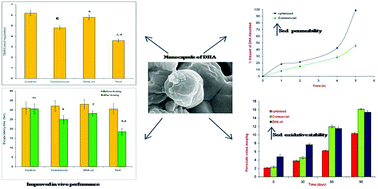 Graphical abstract: Nanoencapsulation of docosahexaenoic acid (DHA) using a combination of food grade polymeric wall materials and its application for improvement in bioavailability and oxidative stability