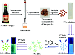 Graphical abstract: Fluorescent nanoparticles from mature vinegar: their properties and interaction with dopamine