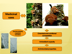 Graphical abstract: Chemical composition and bioactive properties of the wild mushroom Polyporus squamosus (Huds.) Fr: a study with samples from Romania